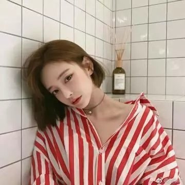 瓢虫少女第一季 在线观看封面