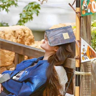 木材宝藏狗 在线观看封面